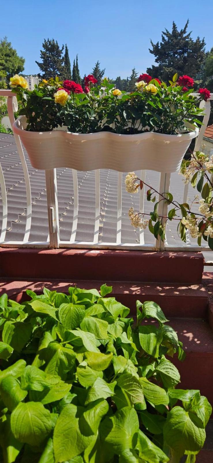 Apartman Afrodita Dubrovnik